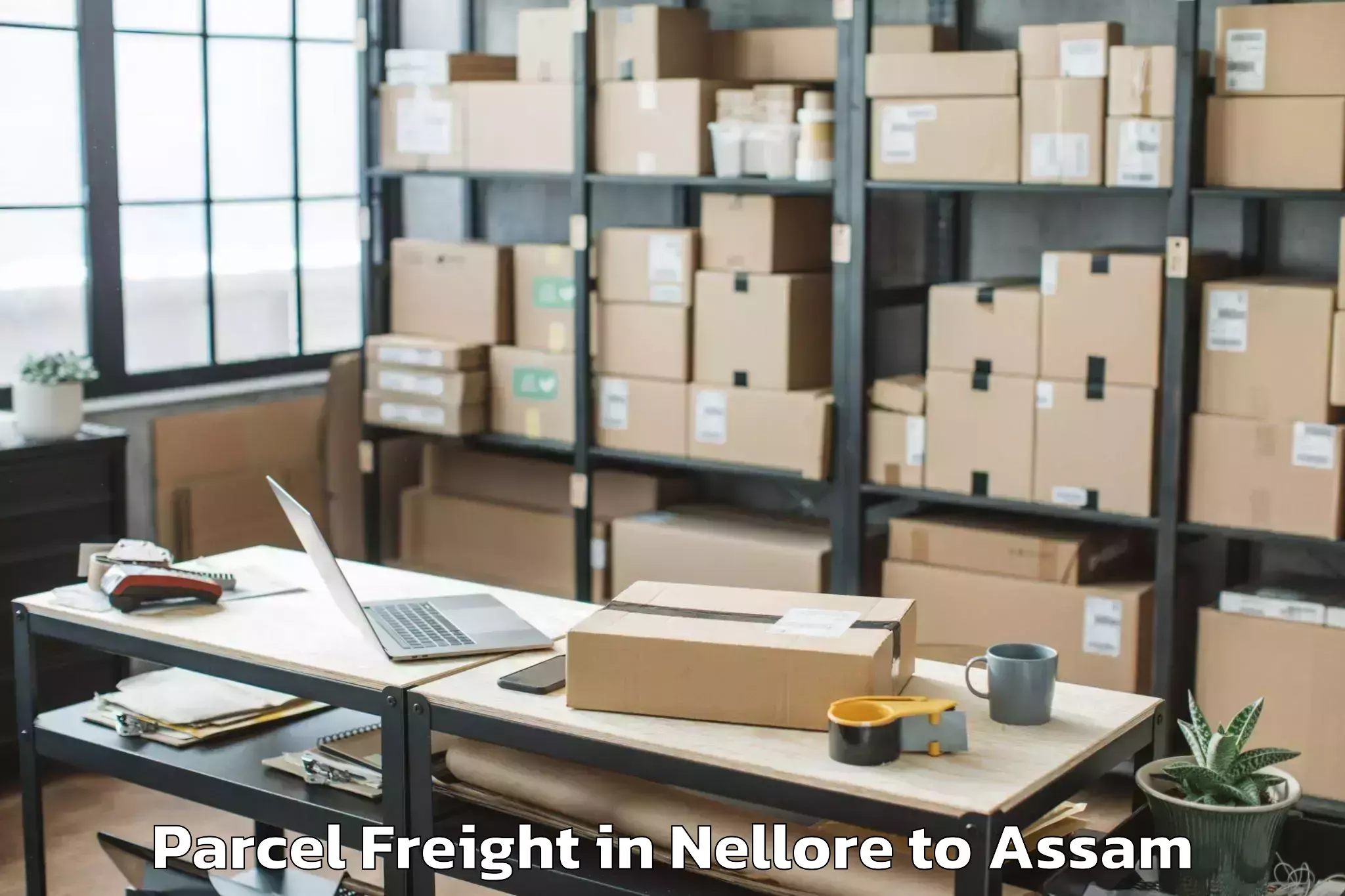 Top Nellore to Umrangso Parcel Freight Available